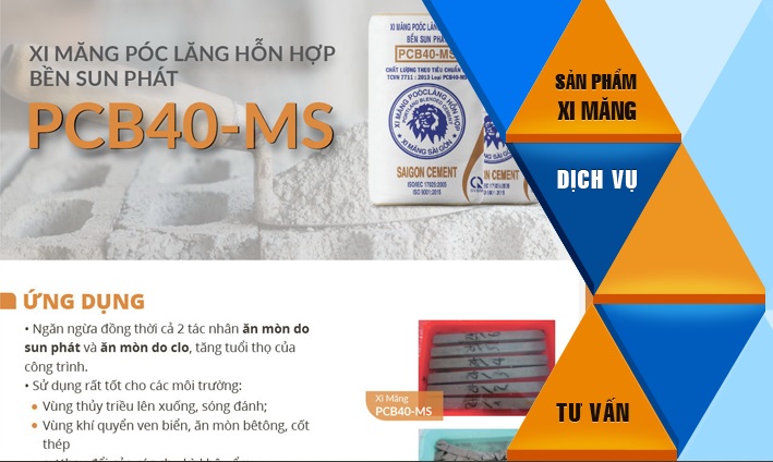 Xi măng Bảo Chứng