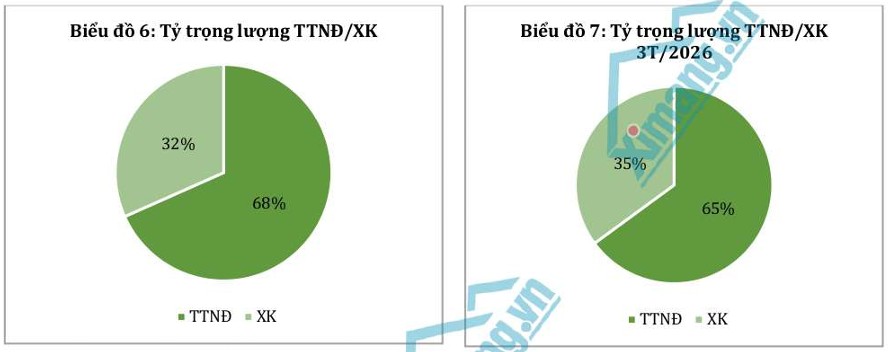 Tháng 03/2026: Thị trường xi măng phục hồi mạnh sau Tết, bước vào giai đoạn tăng tốc