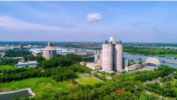 tiến trình tái cơ cấu VICEM giai đoạn 2024-2030