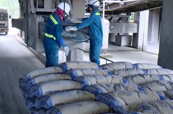 Công ty TNHH Trường Hải