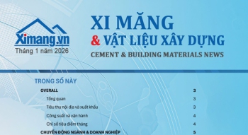 Thị trường Xi măng và Vật liệu xây dựng tháng 01/2026: Khởi động tích cực, xuất khẩu giữ nhịp cân bằng